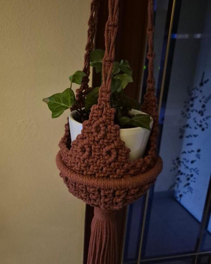 Terracotta cotton macrame plant hanger from @el.santuario.de.macrame. White pot holds trailing green ivy.