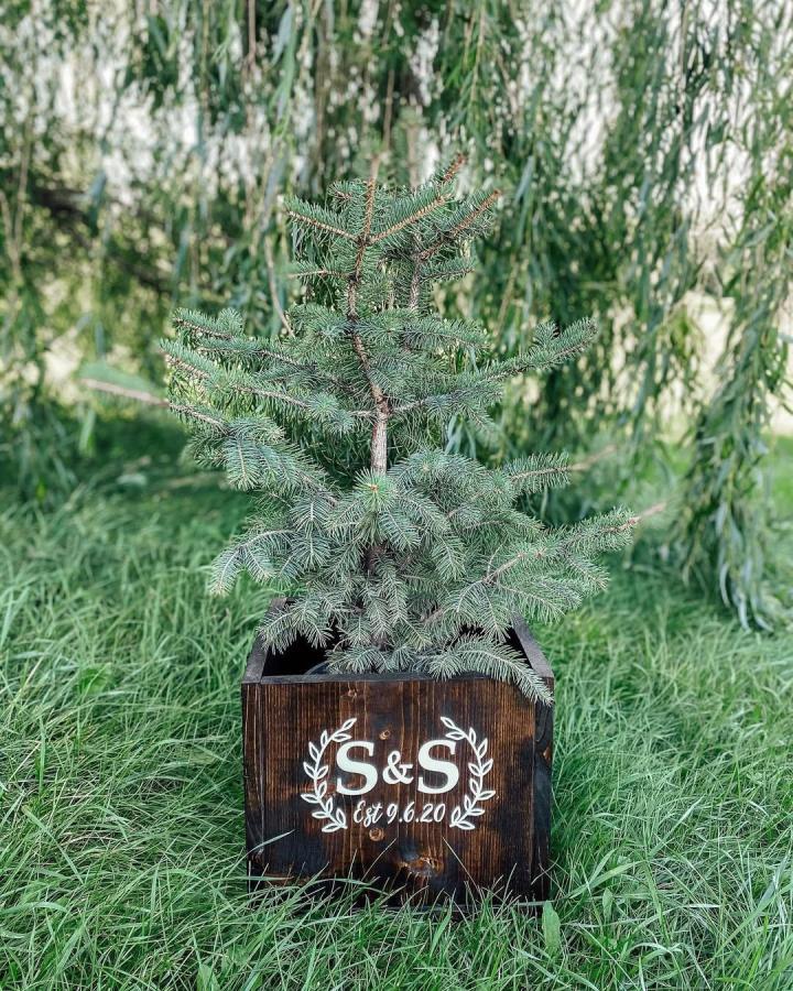 Dark-stained wooden planter from @stripped.and.styled. Evergreen tree with white monogram for diy wedding crafts.