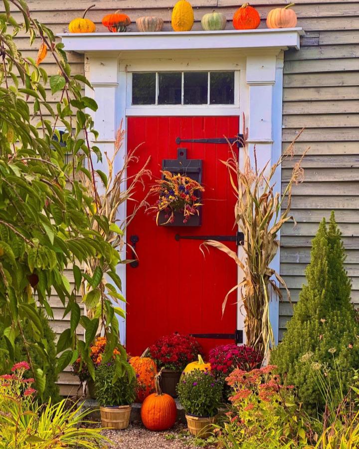 Bright red cottage door from @thelongawaitedhome. Fall front door decor ideas feature pumpkins and dried grasses.