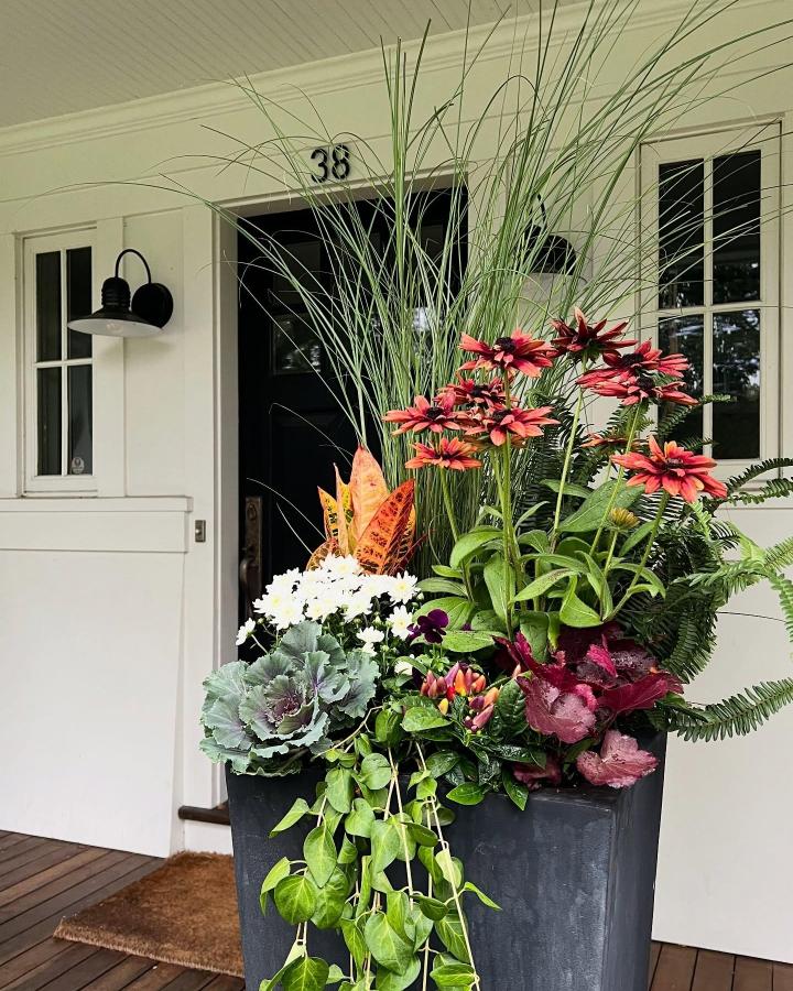 Lush black porch planter from @thistlecontainers. Layered grasses, coral flowers, mums, kale, and trailing vines create autumn curb appeal.