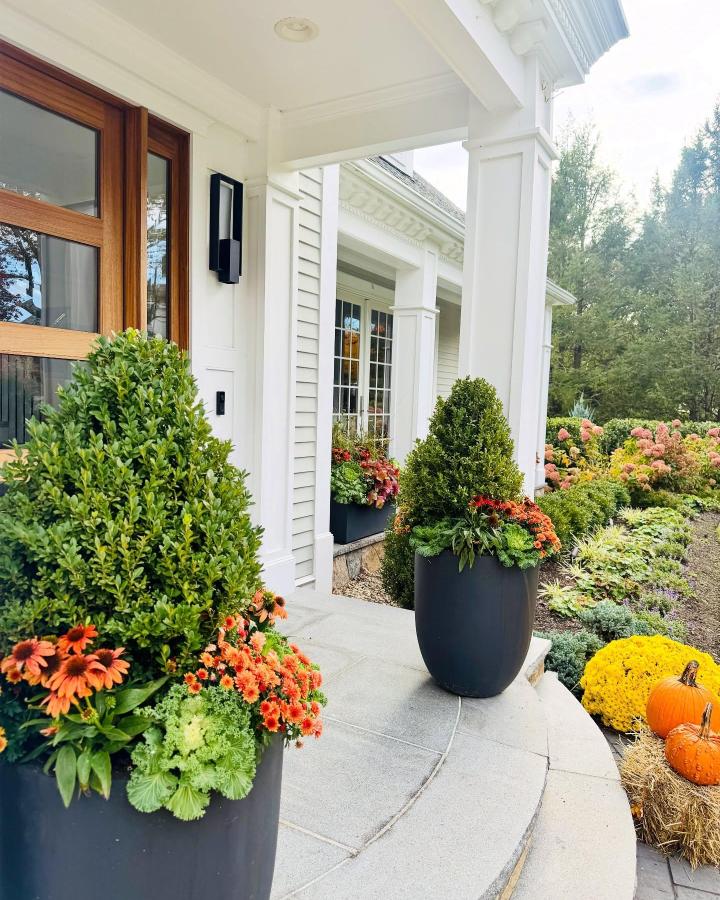 Black matte porch planters from @heather_garden_design. Orange mums, boxwood, ornamental kale, pumpkins, and white columns.