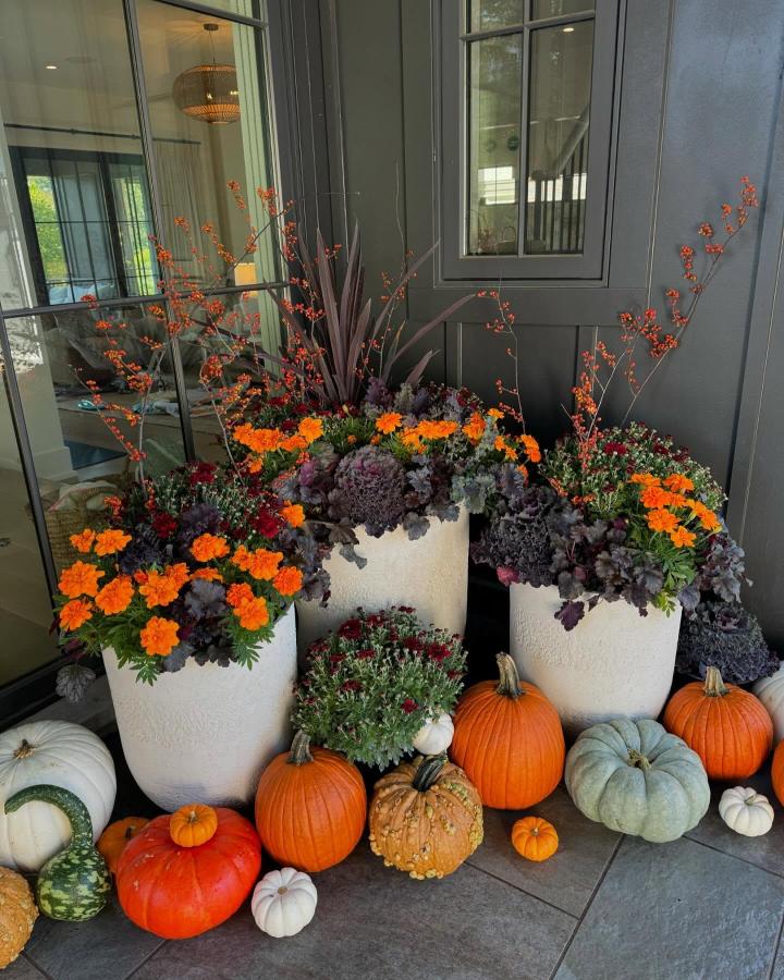 Textured white planters featuring fall planter ideas from @jennalovesherplants. Orange marigolds, burgundy foliage, berries, and pumpkins.
