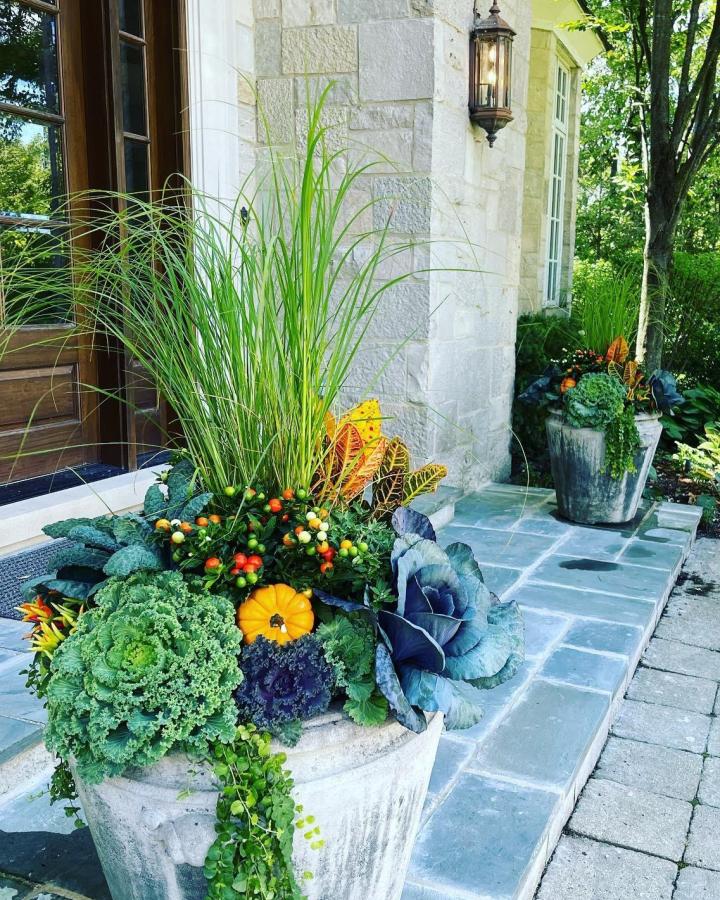 Weathered stone porch planter from @green.with.ivy. Ornamental kale, mini pumpkins, croton leaves, berries, and grasses create an autumn display.