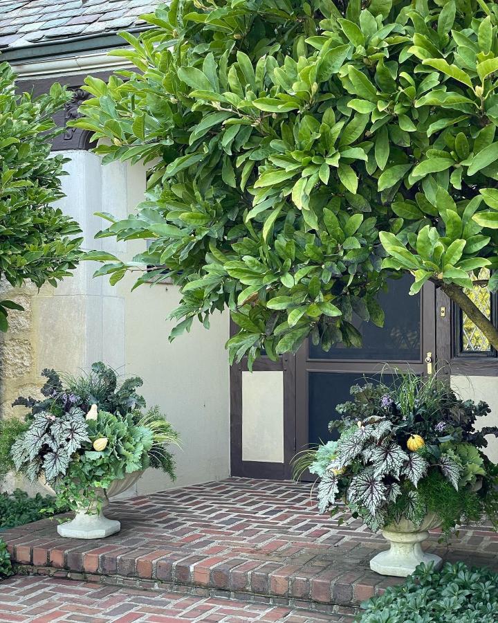 Lush green urn planters from @thecontainedgarden. Layered fall planter ideas with silver foliage, grasses, purple blooms, and yellow gourds.