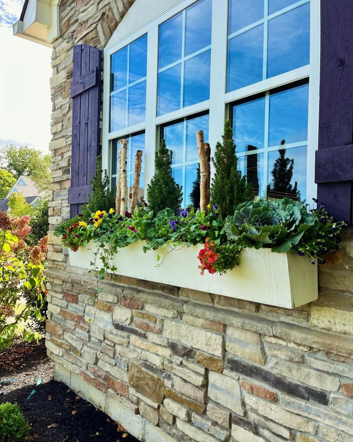 White wooden window box from @rootedinjoyplanters. Evergreen, ornamental kale, pansies, and birch stems create a cheerful autumn display.