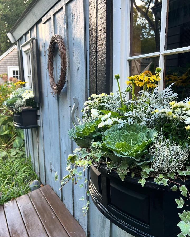 Black window box from @thistlecontainers. Yellow flowers, white blooms, ornamental kale, dusty miller, and ivy create a lush autumn display.