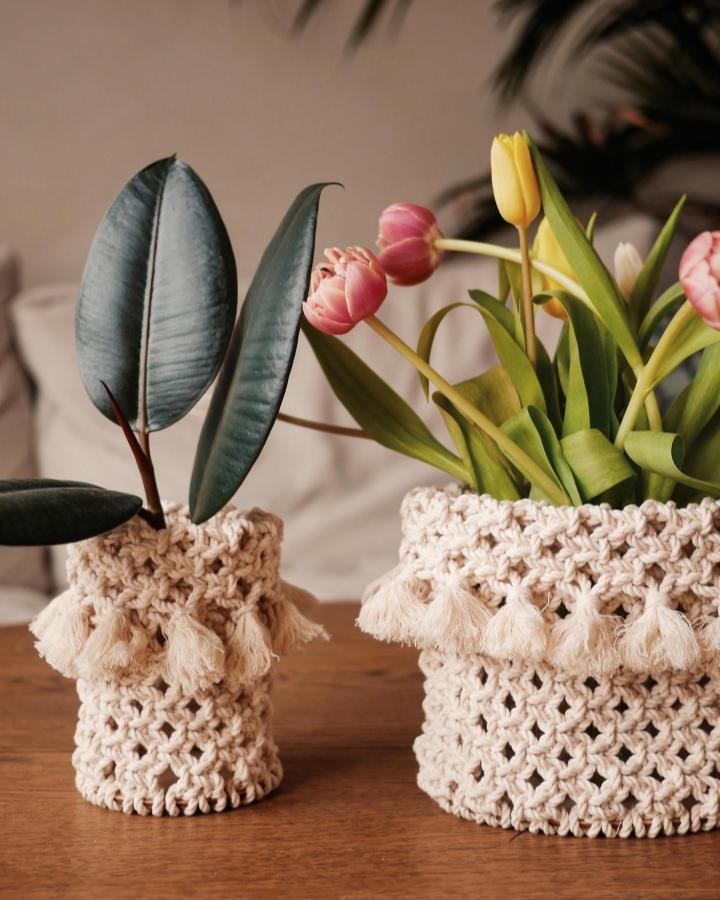 Cream fringed macrame basket display from @createaholic. Chunky knotted texture holds leafy plants and tulips.