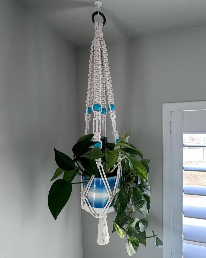 Cream knotted plant hanger from @ricedesigns_. Turquoise beads cradle a leafy blue pot