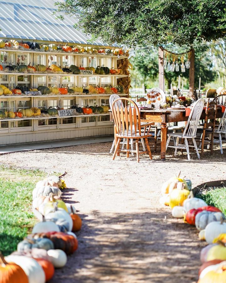 Colorful pumpkin-lined garden path from @southernhomeandfarm. White shelves and a rustic dining table create welcoming autumn entertaining decor.