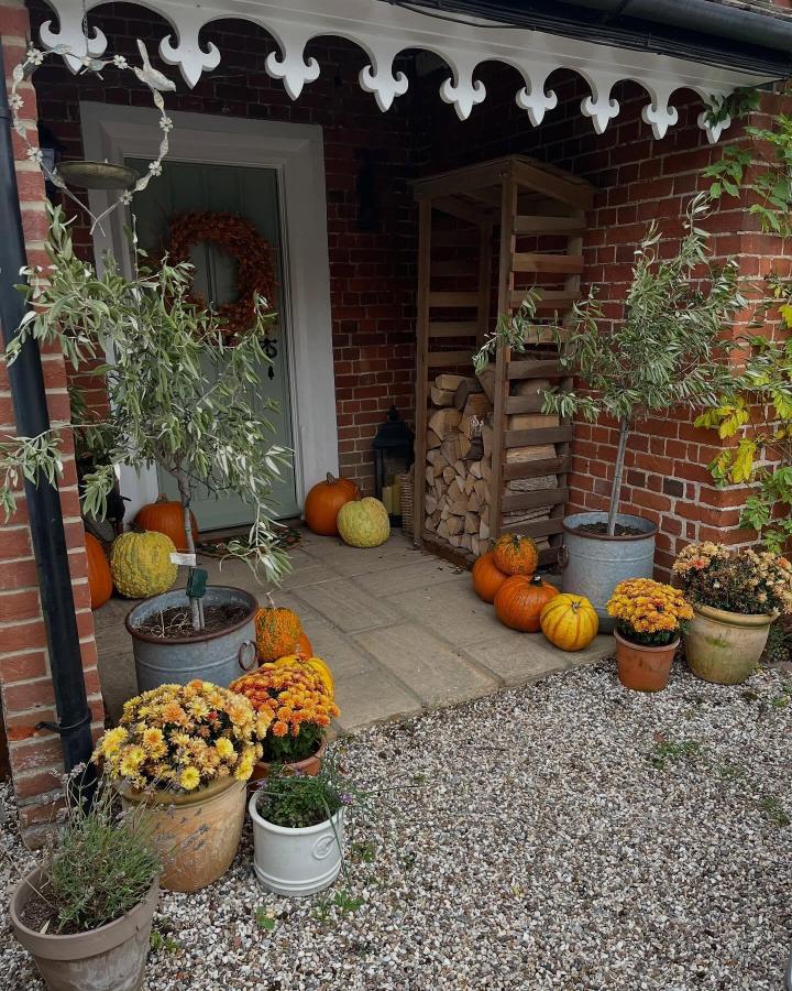 Rustic terracotta pumpkin porch from @heighwaycottage. Layered mums, gourds, olive trees, and firewood.