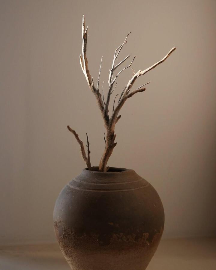 Rustic brown earthen vase with natural branch sculpture from @korolenkostudio. Bare limbs create a quiet organic focal point.
