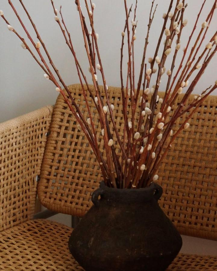 Rustic brown pussy willow branch arrangement from @korolenkostudio. Dark earthenware vase with ivory buds.
