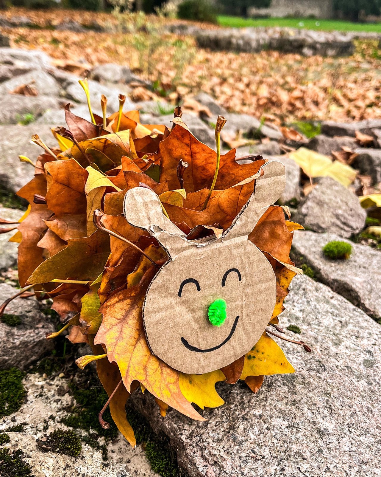 Cardboard-faced leaf caterpillar surrounded by colorful autumn leaves outdoors
